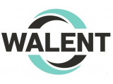  Walent
