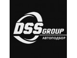  DSS Group