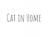  Cat in Home