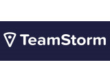  TeamStorm