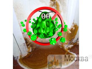 ������ ������� �� �����.  ������, ������ � ���������. ������������� ������